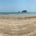 2019_01_huahin-chumpon_73.jpeg