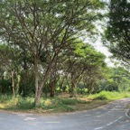 2021-12_kai-thanarath_14.jpeg